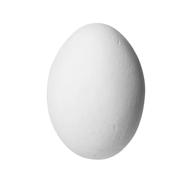 Vadigran Huevo Gallina de Cal