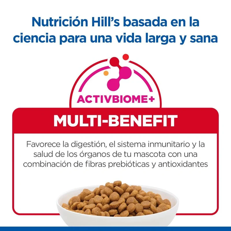 Hill's Science Plan Kitten Salmón Pienso para Gatitos