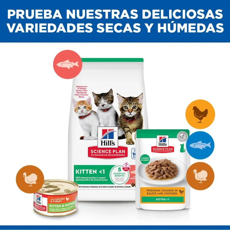 Hill's Science Plan Kitten Salmón Pienso para Gatitos