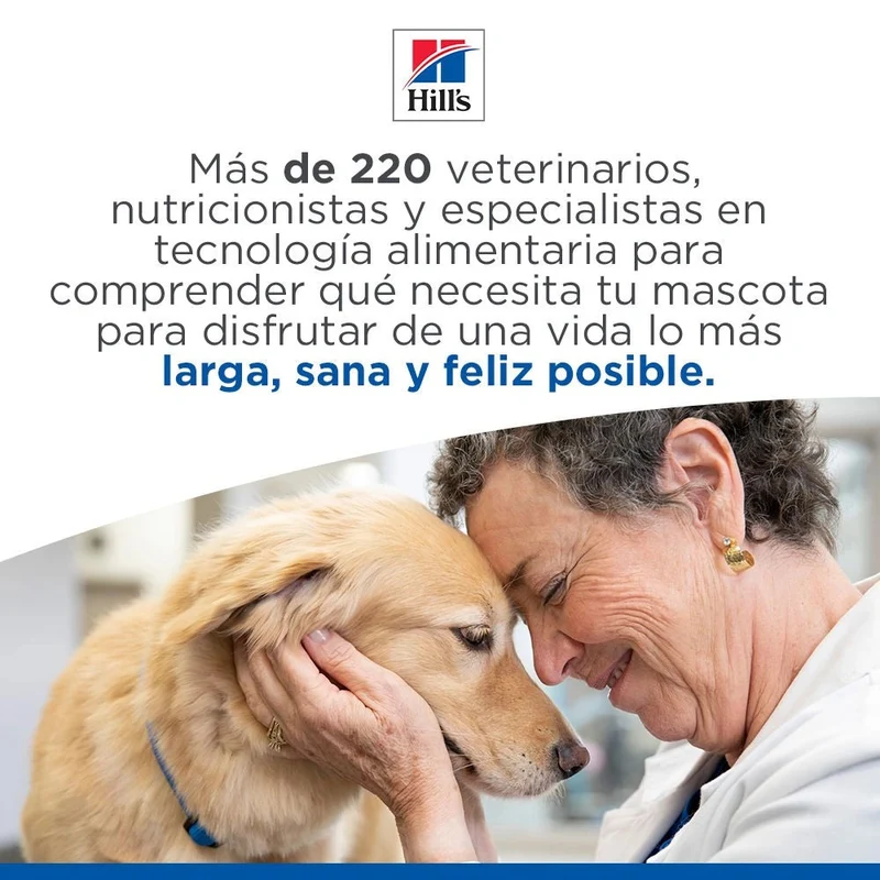 Hill's Science Plan Kitten Salmón Pienso para Gatitos