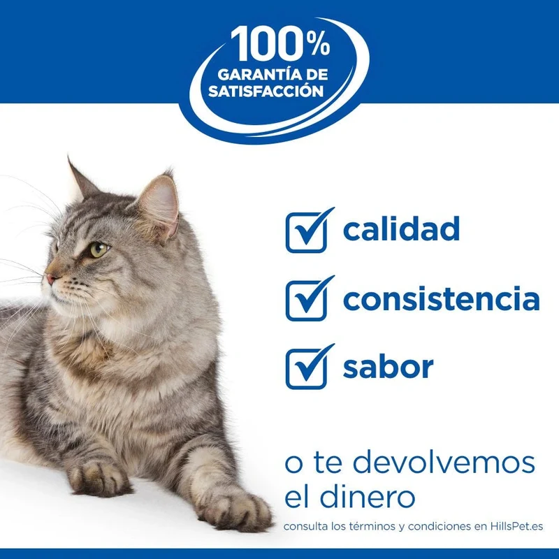 Hill's Science Plan Kitten Salmón Pienso para Gatitos