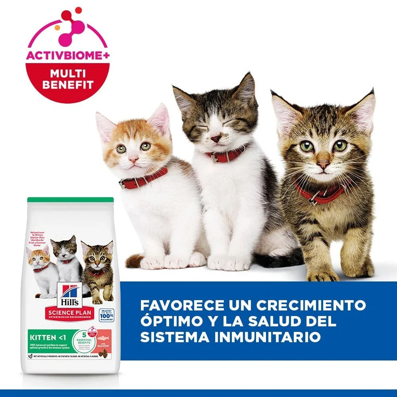 Hill's Science Plan Kitten Salmón Pienso para Gatitos