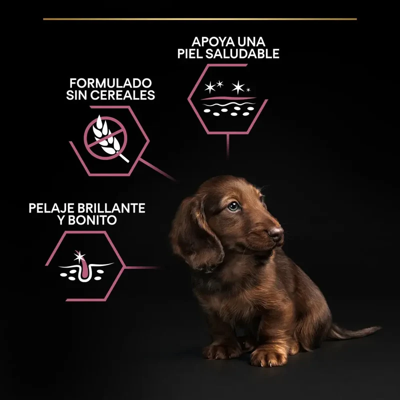 Pro Plan Small&Mini Puppy Sensitive Skin Salmón Pienso para Cachorros