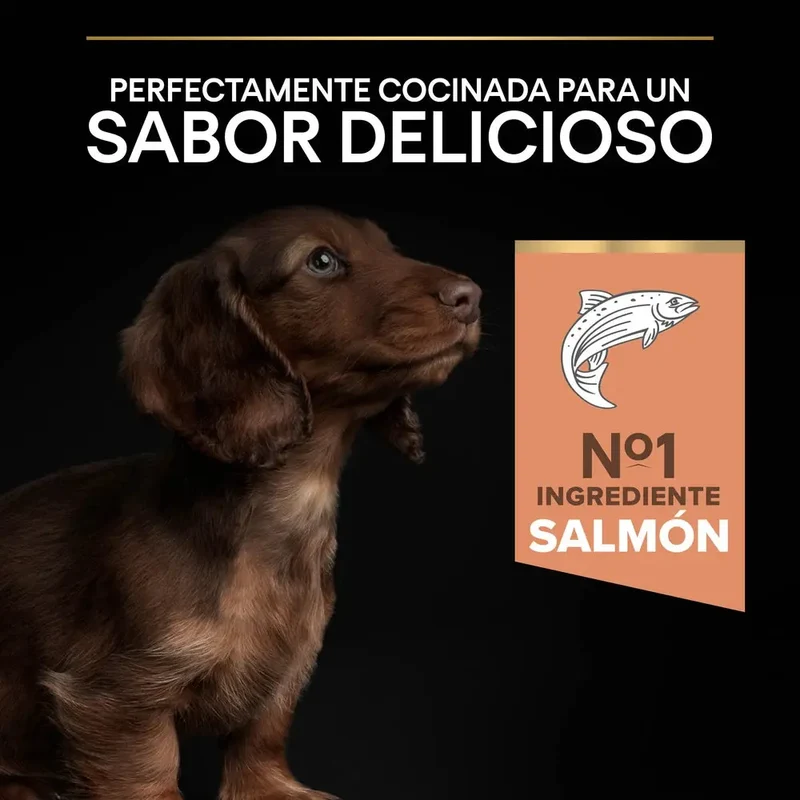 Pro Plan Small&Mini Puppy Sensitive Skin Salmón Pienso para Cachorros