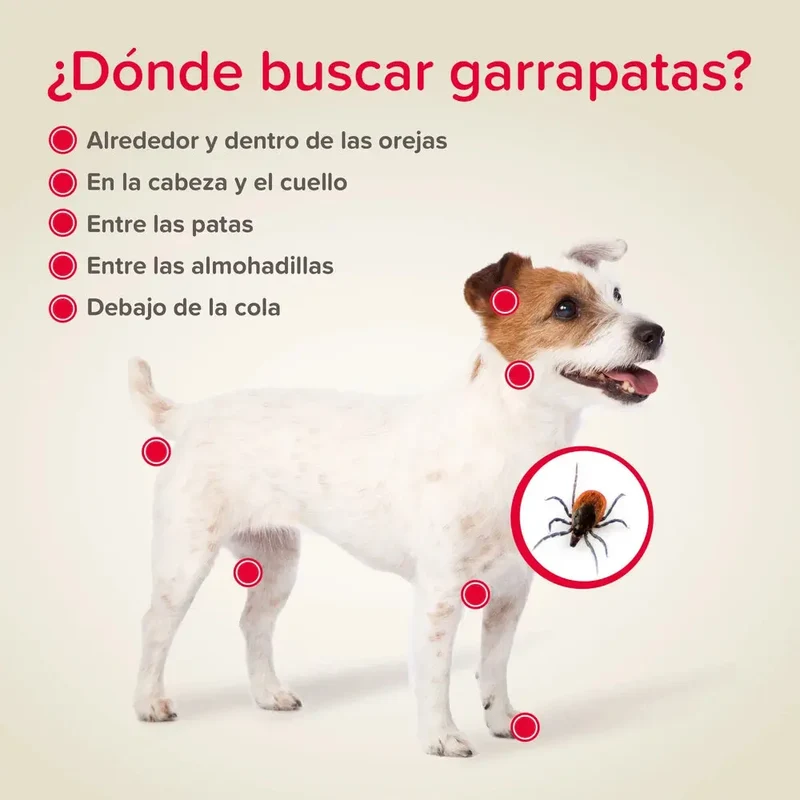 Beaphar Pinza Quita Garrapatas para Perros y Gatos
