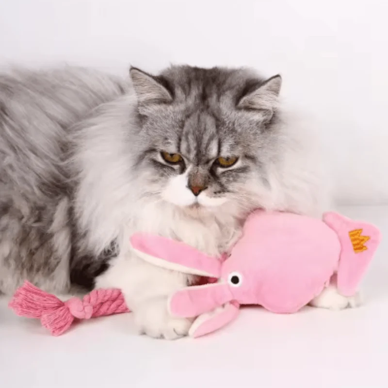 Jouet en peluche pieuvre interactif pour chien