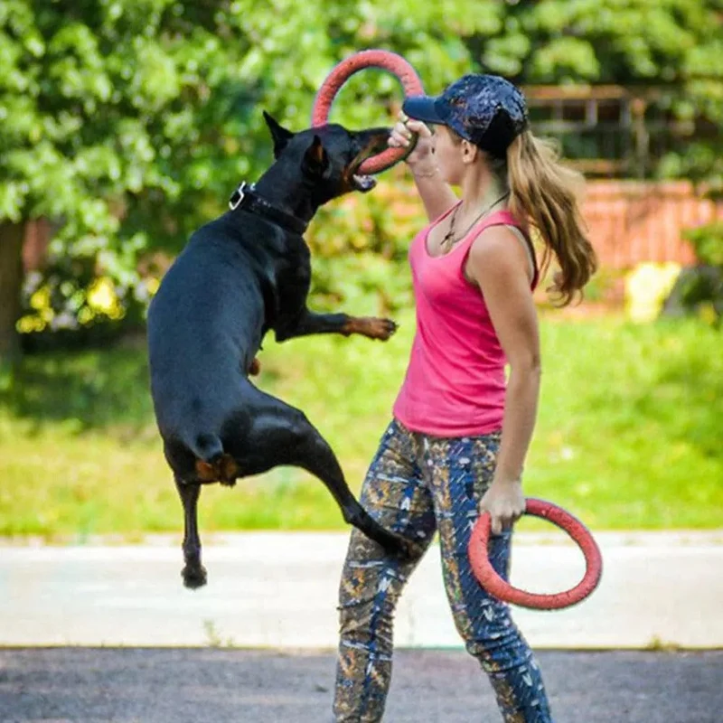 Anneau Flottant pour Jeux Canins Actifs