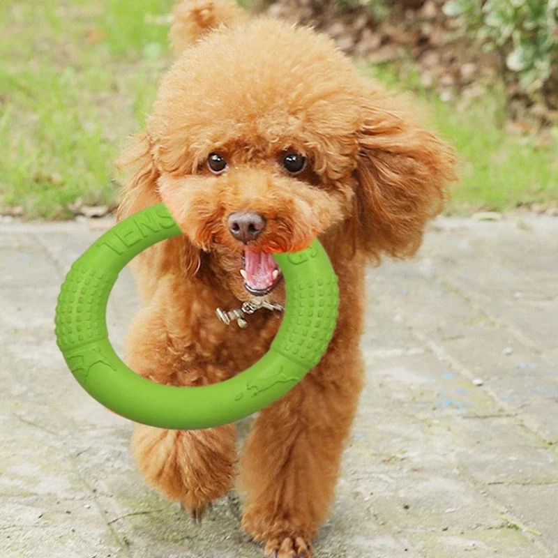 Anneau Flottant pour Jeux Canins Actifs