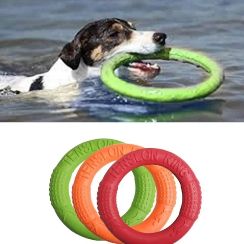 Anneau Flottant pour Jeux Canins Actifs