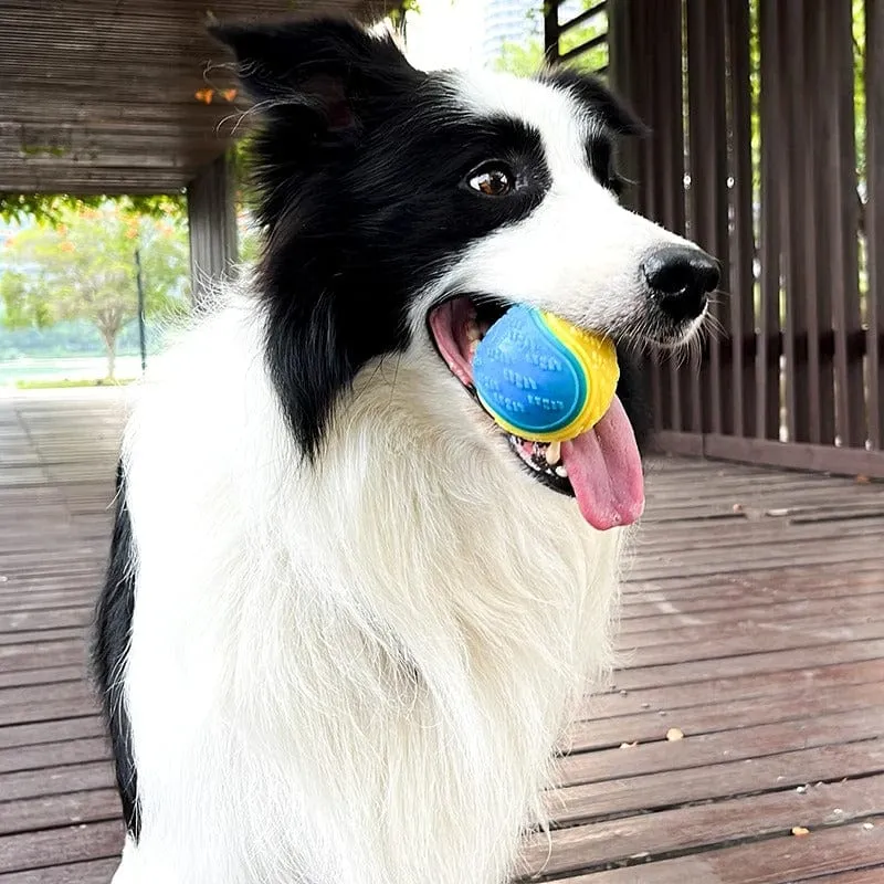 Jouet interactif en TPR doux pour chien