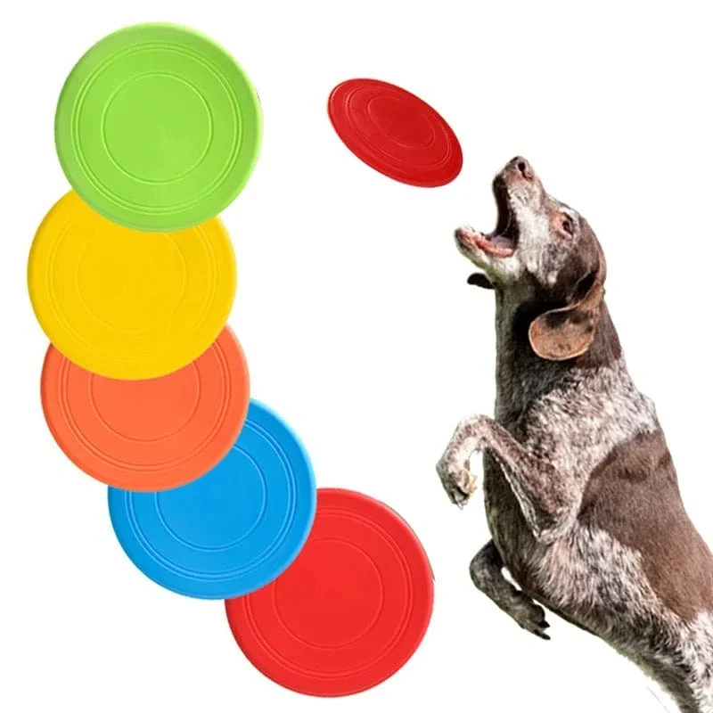 Disque Volant Durable pour Chien - Amusement Actif!