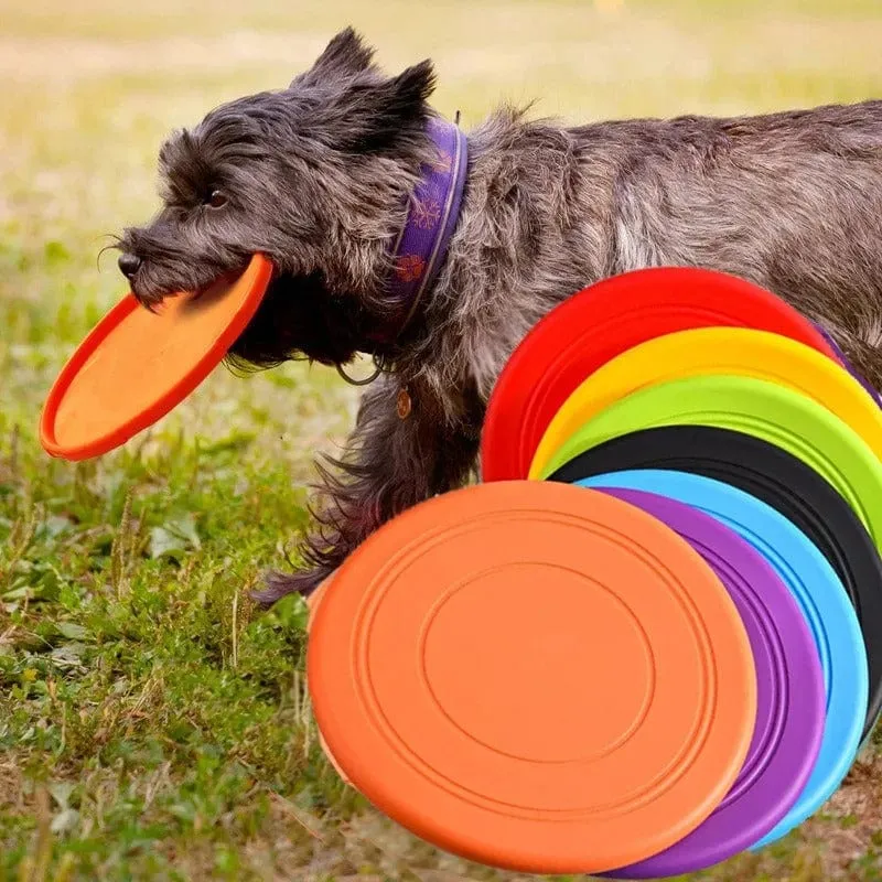 Disque Volant Durable pour Chien - Amusement Actif!