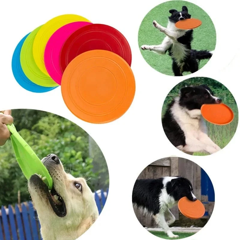 Disque Volant Durable pour Chien - Amusement Actif!