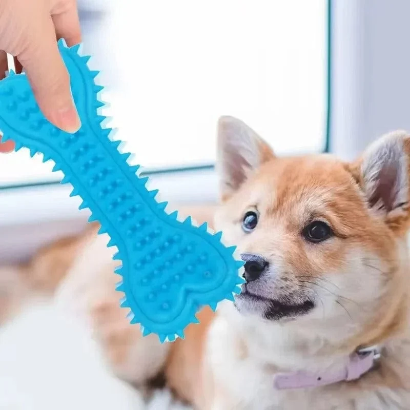 Os à mâcher en caoutchouc durable pour chiens