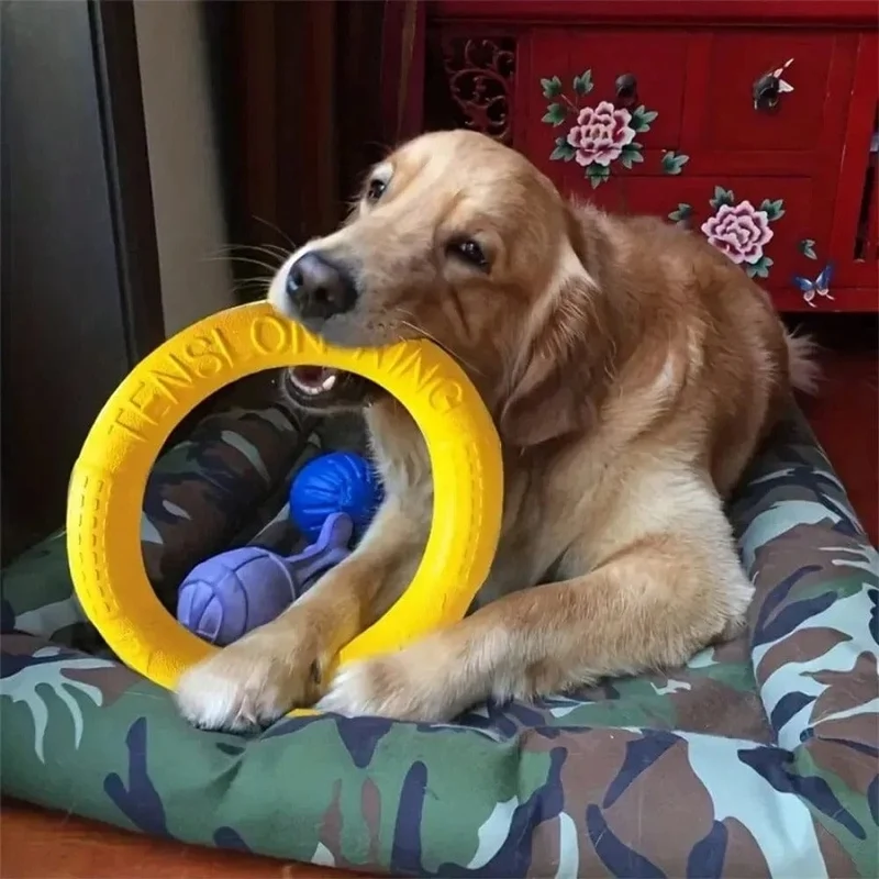 Anneau Flottant pour Chiens Actifs - Jouet d'Agilité et de Tirage