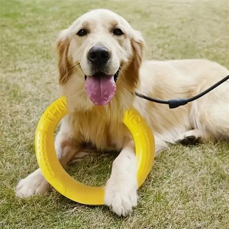 Anneau Flottant pour Chiens Actifs - Jouet d'Agilité et de Tirage