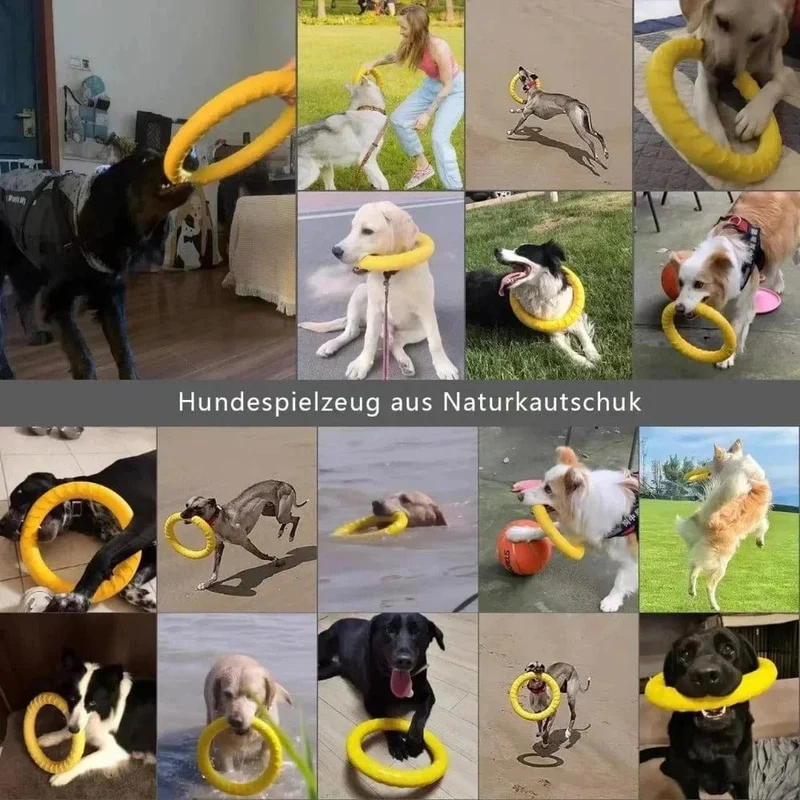 Anneau Flottant pour Chiens Actifs - Jouet d'Agilité et de Tirage