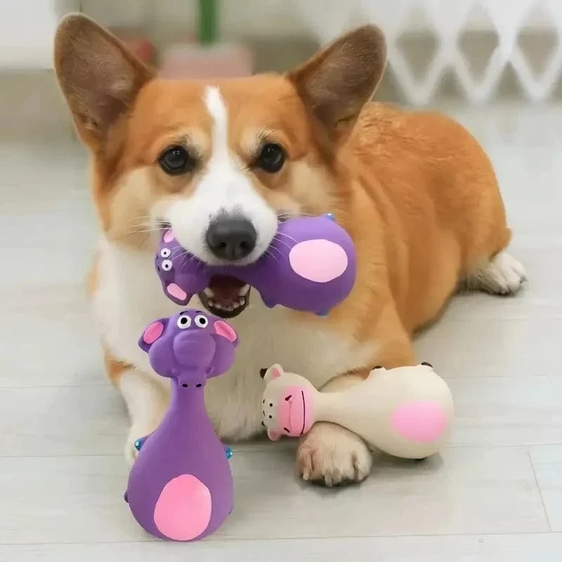 Jouet à mâcher interactif pour chiens