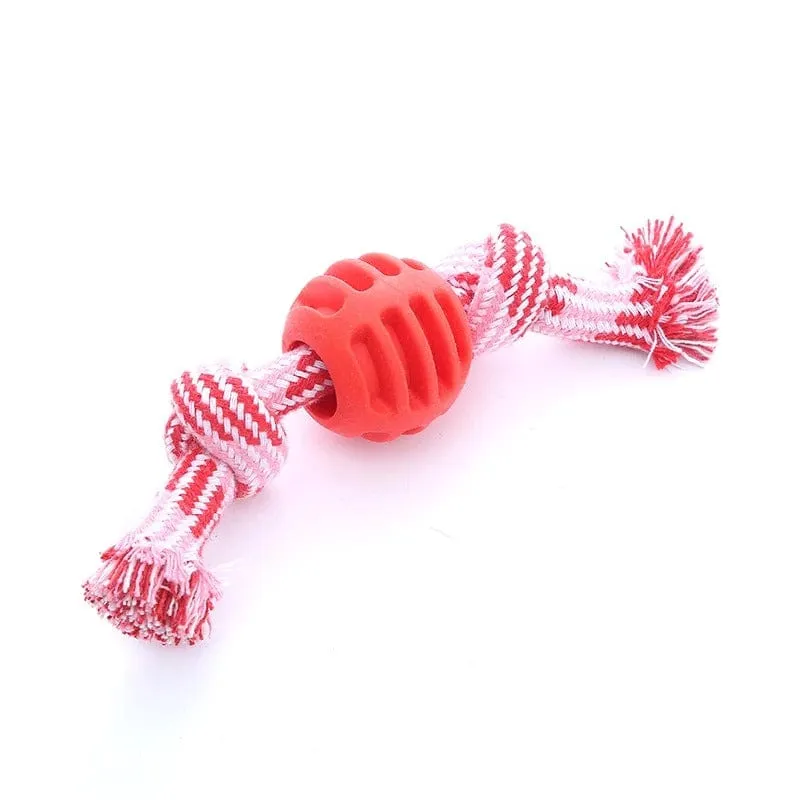 Corde à mâcher durable pour chiens !