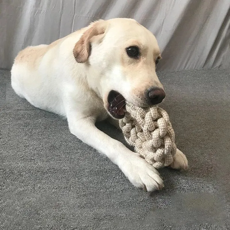Jouet en Nœud : Hygiène Dentaire Amusante pour Chiens