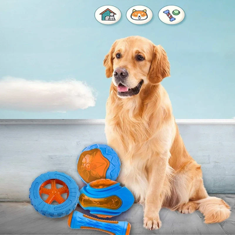 Jouet en Caoutchouc Durable pour Chiens