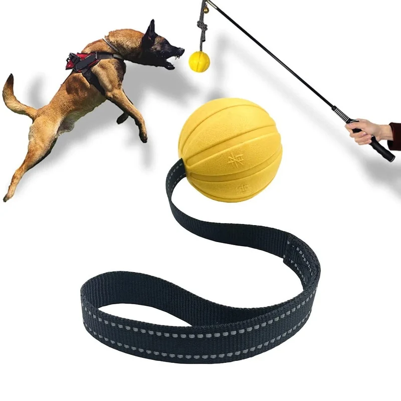Balle Durable sur Corde pour Chien