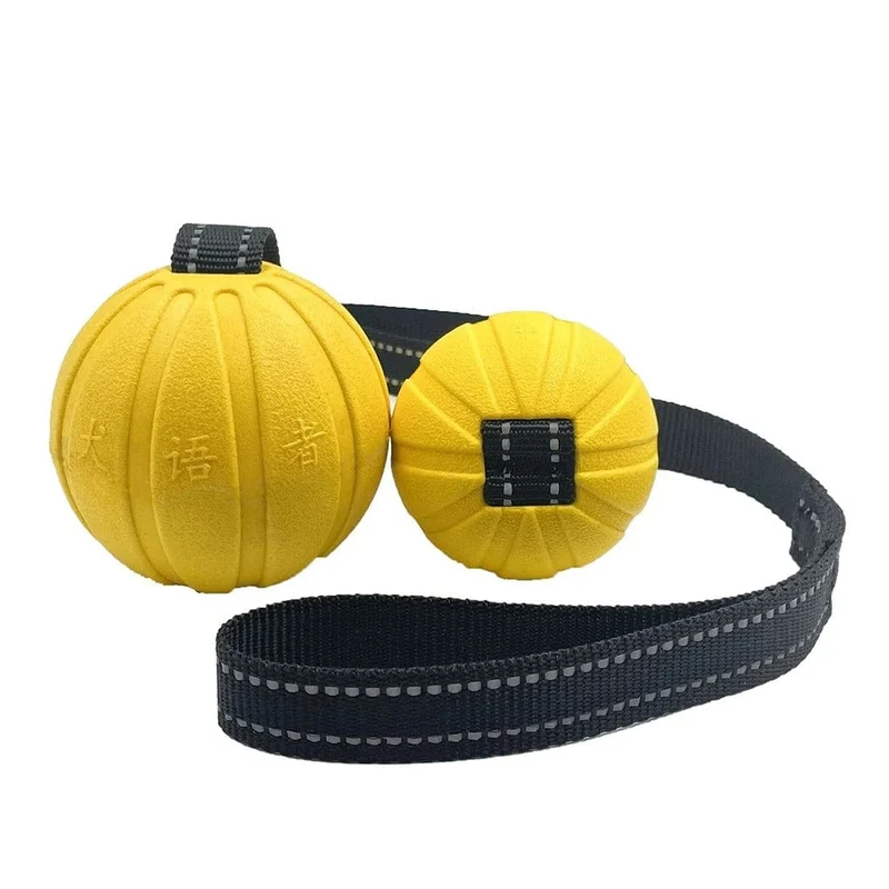 Balle Durable sur Corde pour Chien