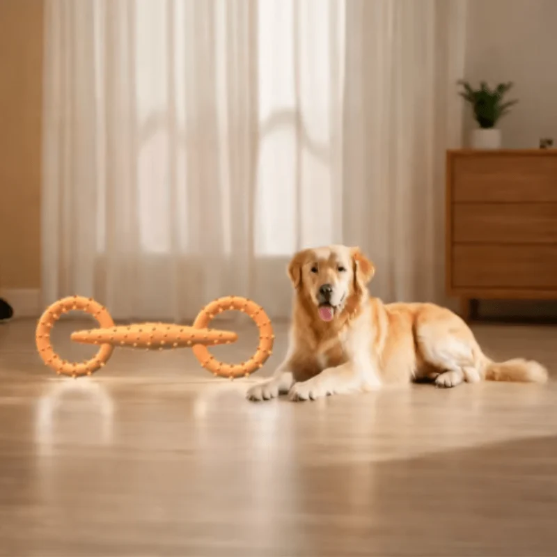 Anneau de traction robuste pour chiens - Jouet à mâcher interactif