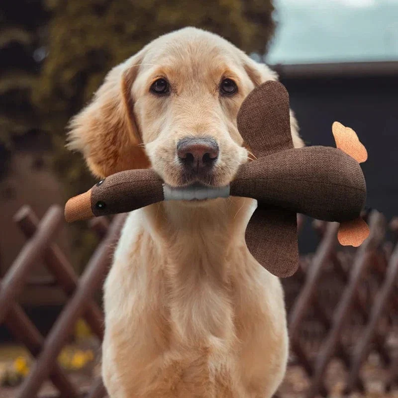 Jouet indestructible pour chiens - Santé dentaire et divertissement durable