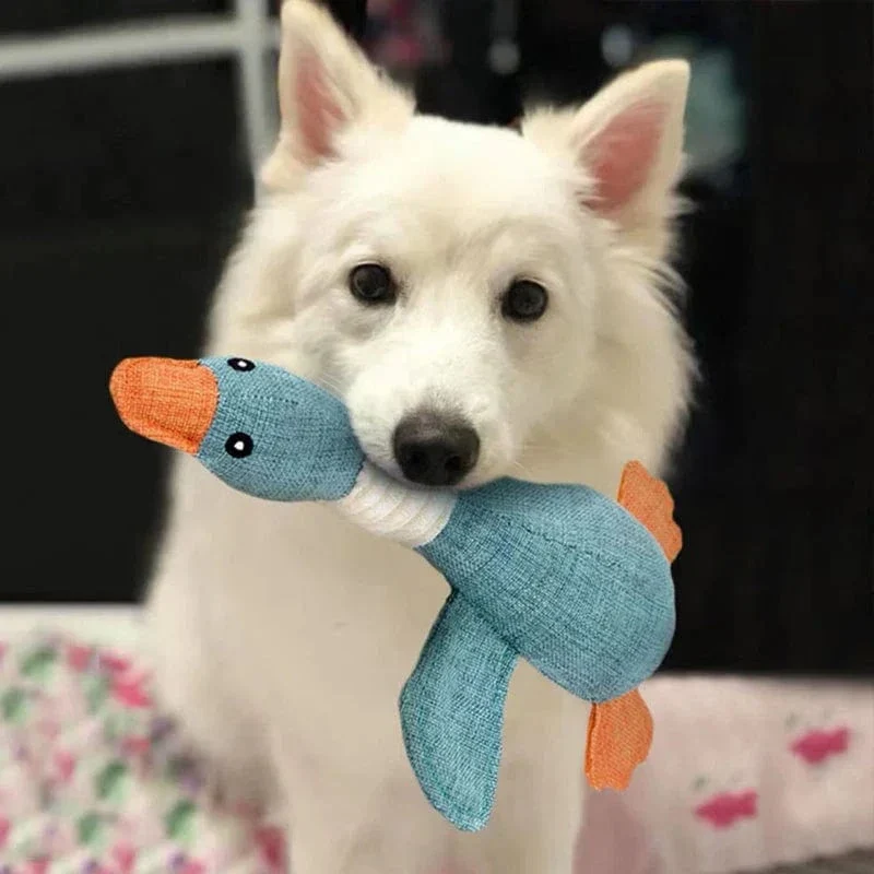 Jouet indestructible pour chiens - Santé dentaire et divertissement durable