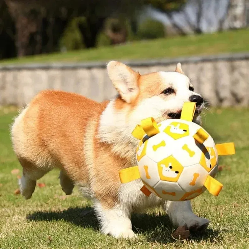 Balle Interactive pour Chiens avec Laisses
