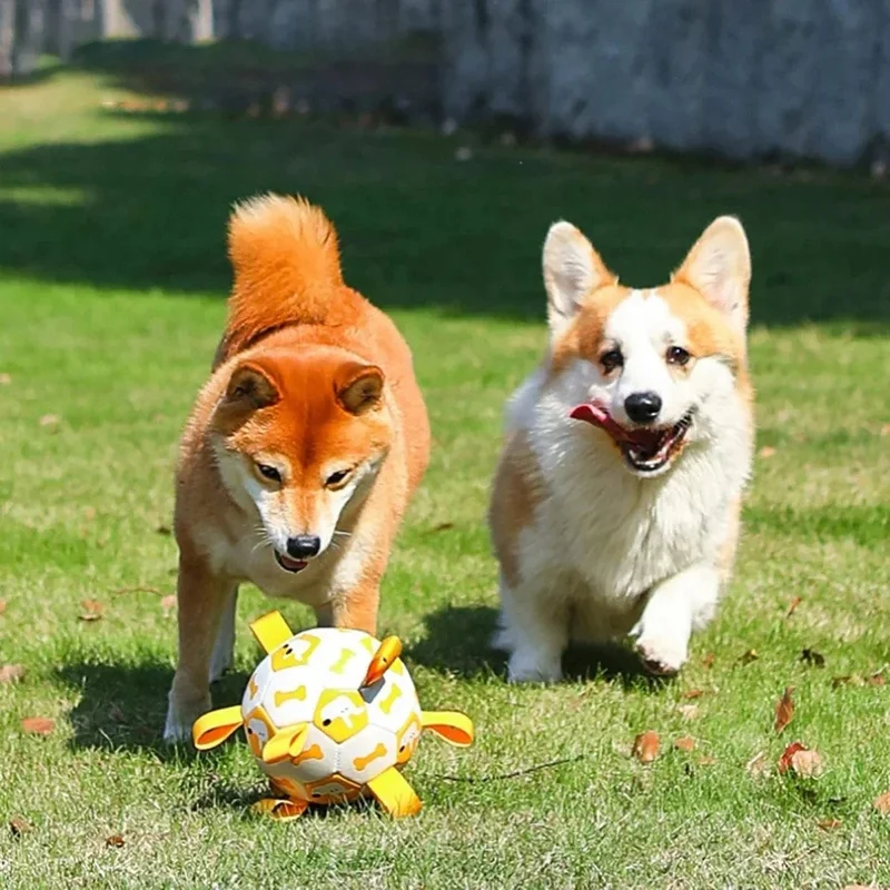 Balle Interactive pour Chiens avec Laisses