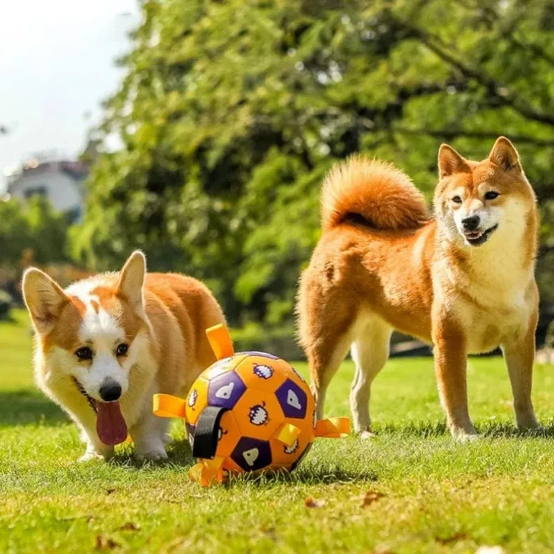 Balle Interactive pour Chiens avec Laisses