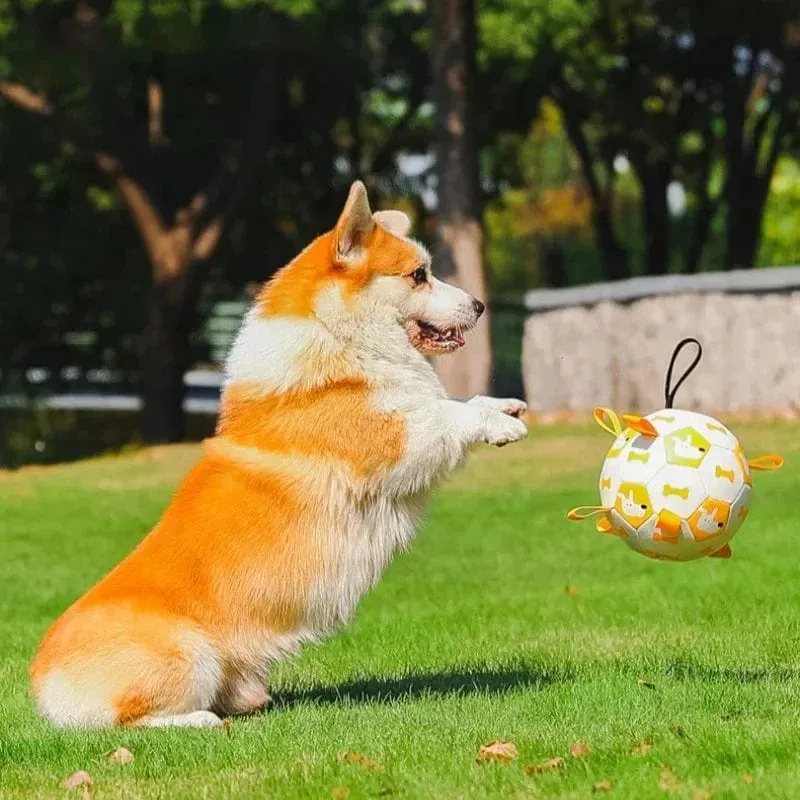 Balle Interactive pour Chiens avec Laisses