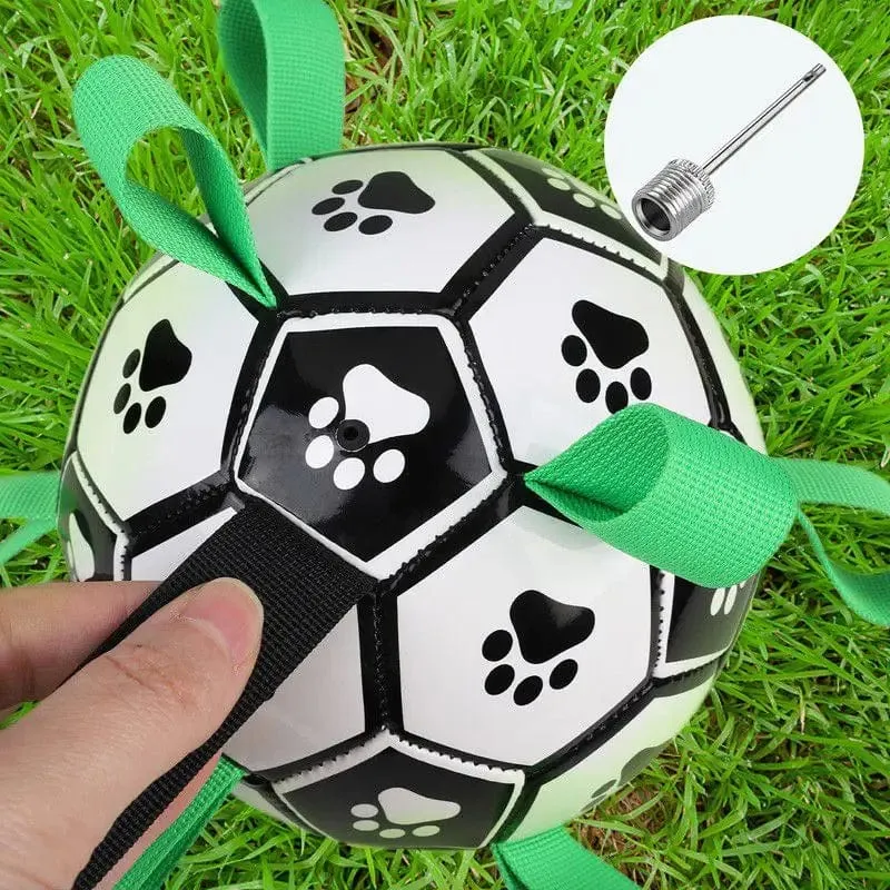 Balle Interactive pour Chiens avec Laisses