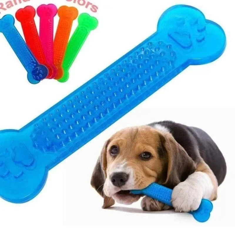Jouet en Caoutchouc Résistant pour Chiens