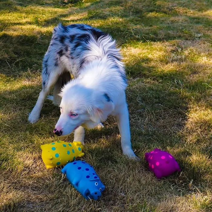 Jouet Cochon Grognant pour Chien Amusant