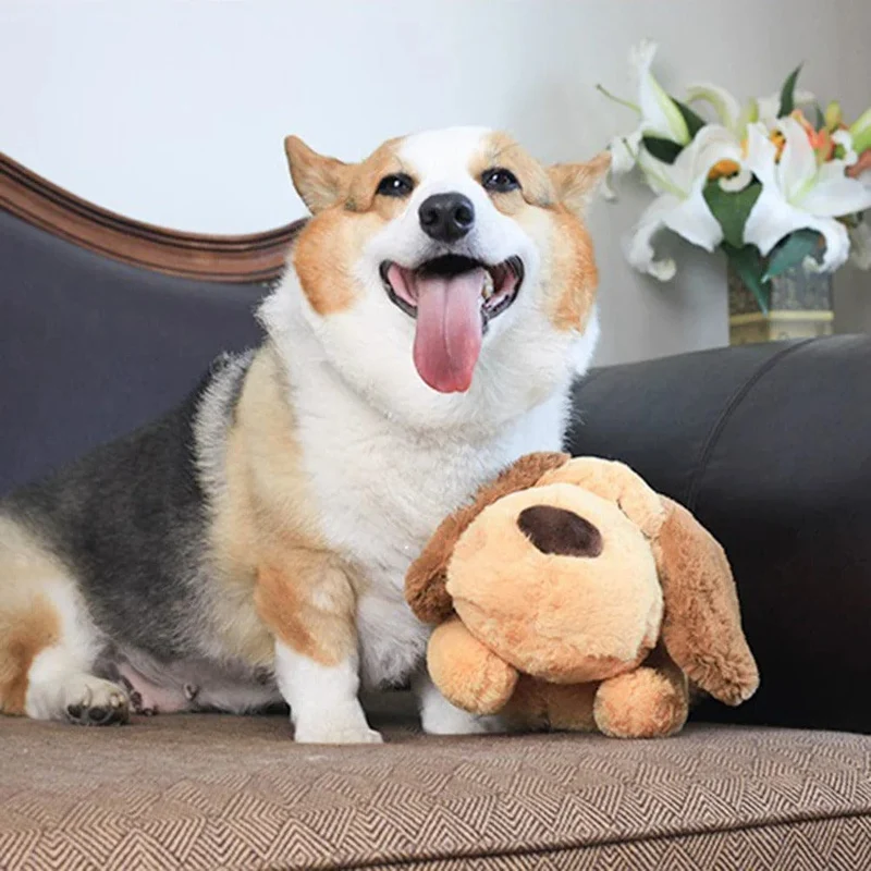 Cuddle Buddy : Compagnon apaisant pour chiens