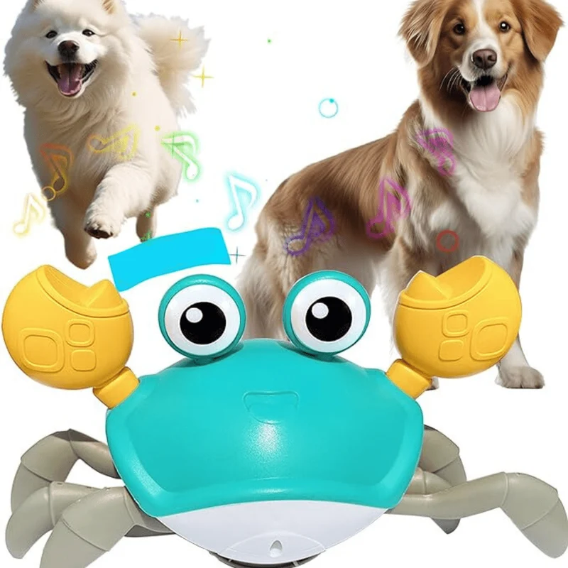 Crabe Dansant : Jouet Interactif Amusant pour Chiens