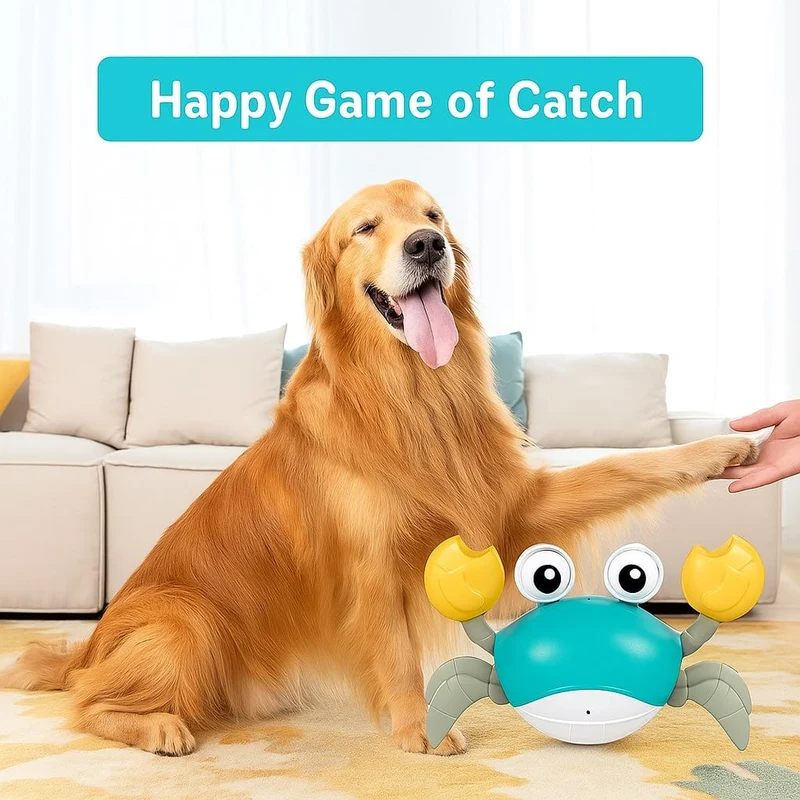 Crabe Dansant : Jouet Interactif Amusant pour Chiens