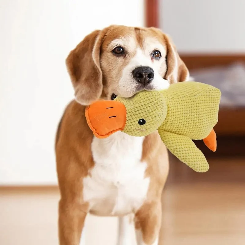 Canard en Peluche Interactif pour Chien