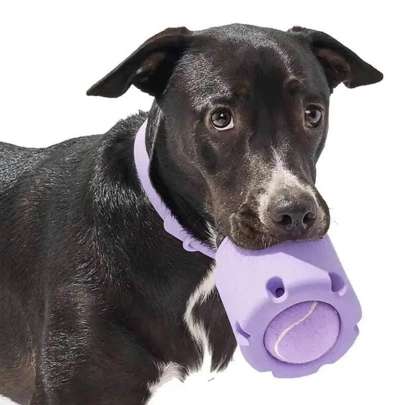 Jouet à mâcher en tennis durable pour chiens