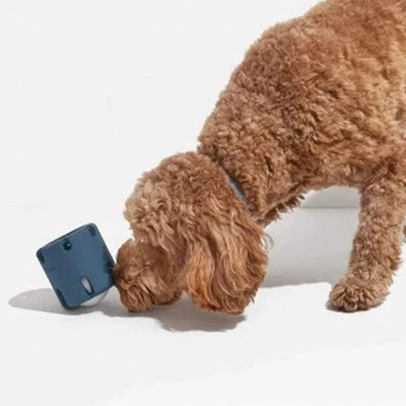 Jouet à mâcher en tennis durable pour chiens