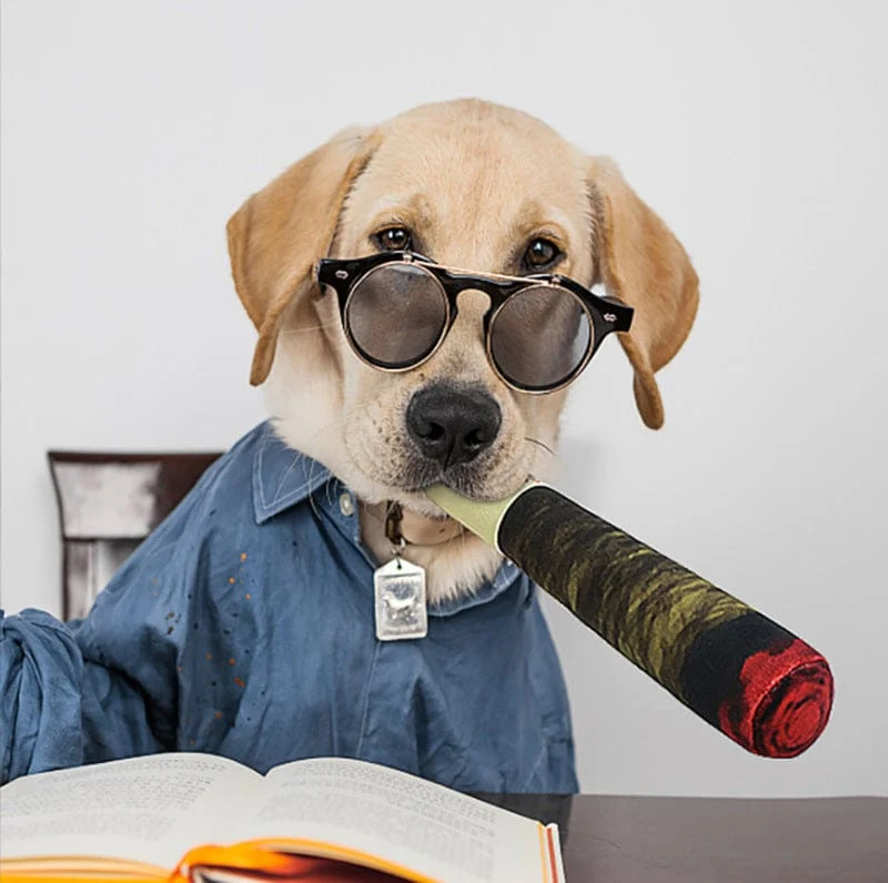 Jouet à mâcher Cigare pour chiens : Fun et Sain !