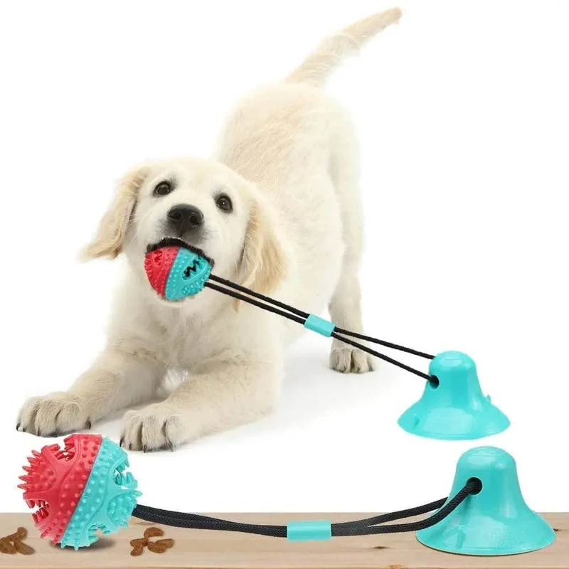Jouet à Succion Innovant pour Chiens