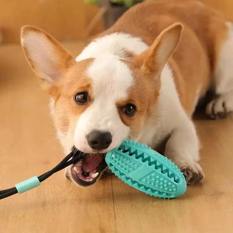 Jouet à Succion Innovant pour Chiens