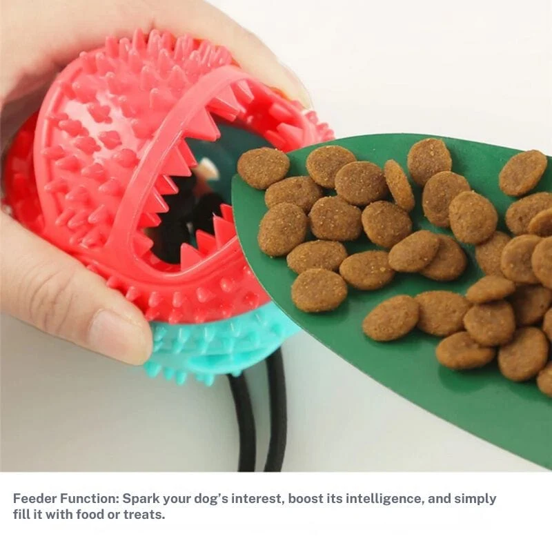 Jouet à Succion Innovant pour Chiens