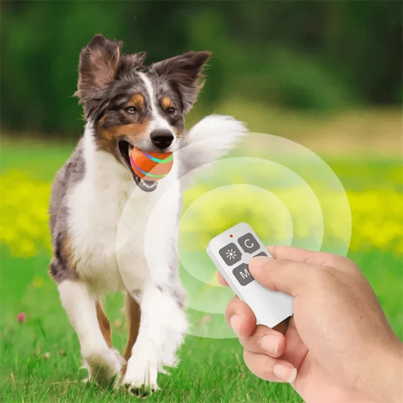 Balle Interactive pour Chiens - Plaisir Illimité