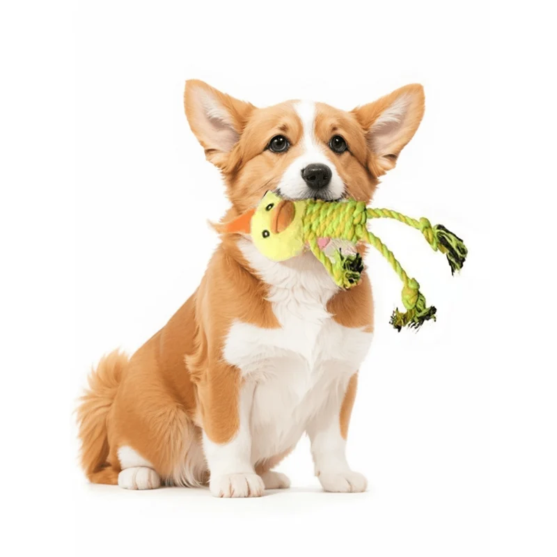 Jouet pour chien résistant et amusant