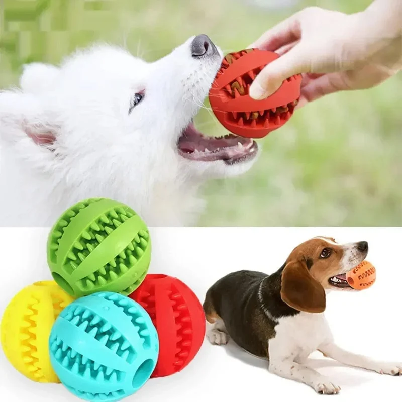 Balle à mâcher interactive pour chien – jeu et mastication